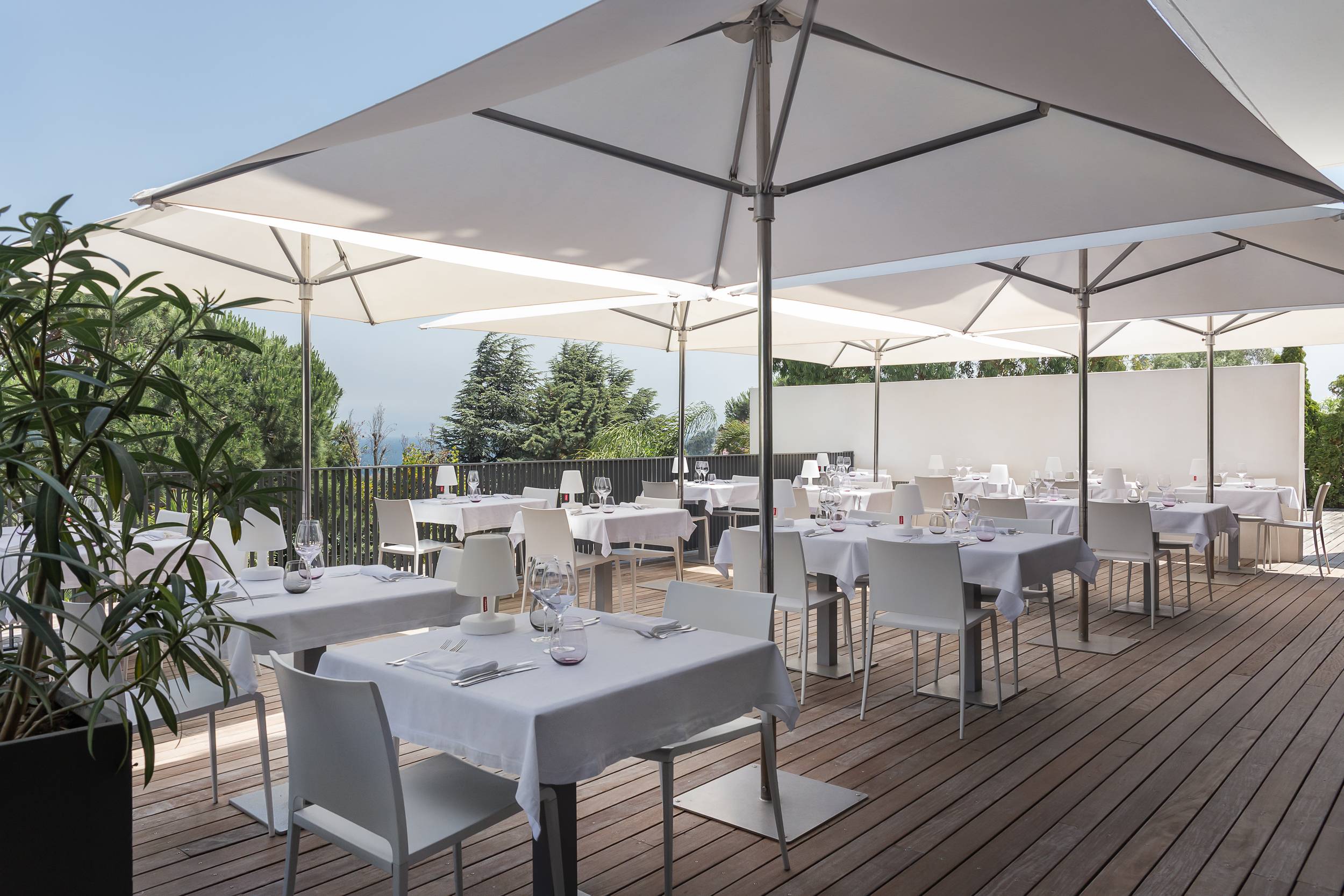 Flavours, Wines & Relaxation