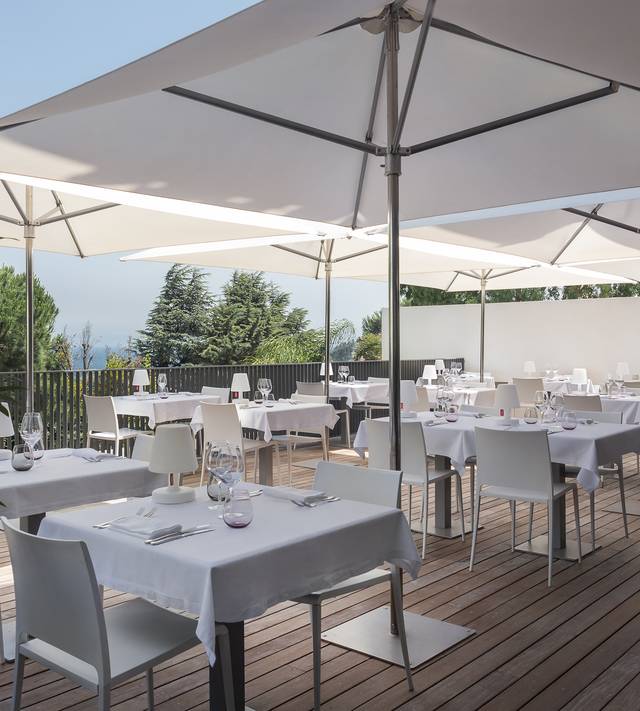 Flavours, Wines & Relaxation