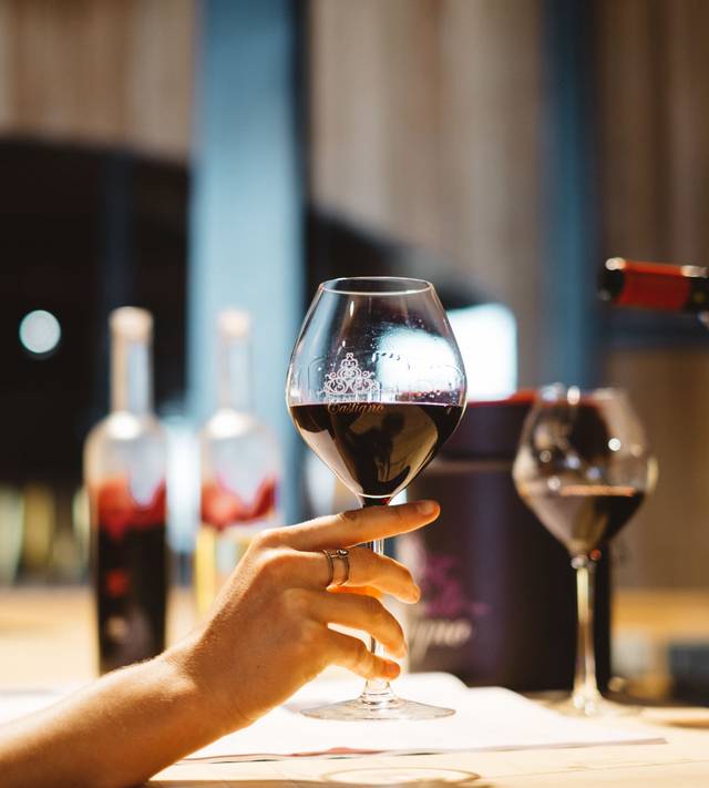 L’Art du vin à Castigno