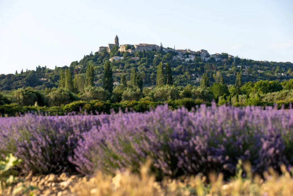 Virée Provençale