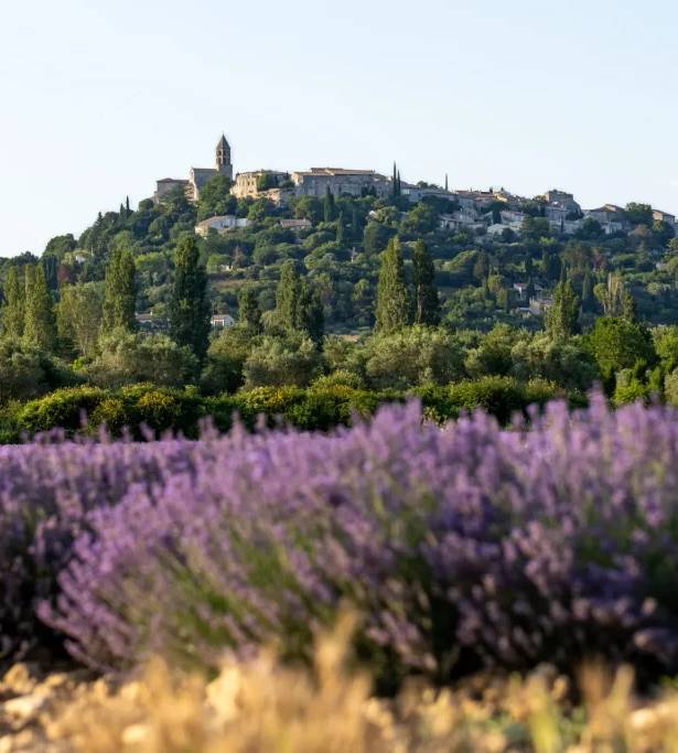Virée Provençale