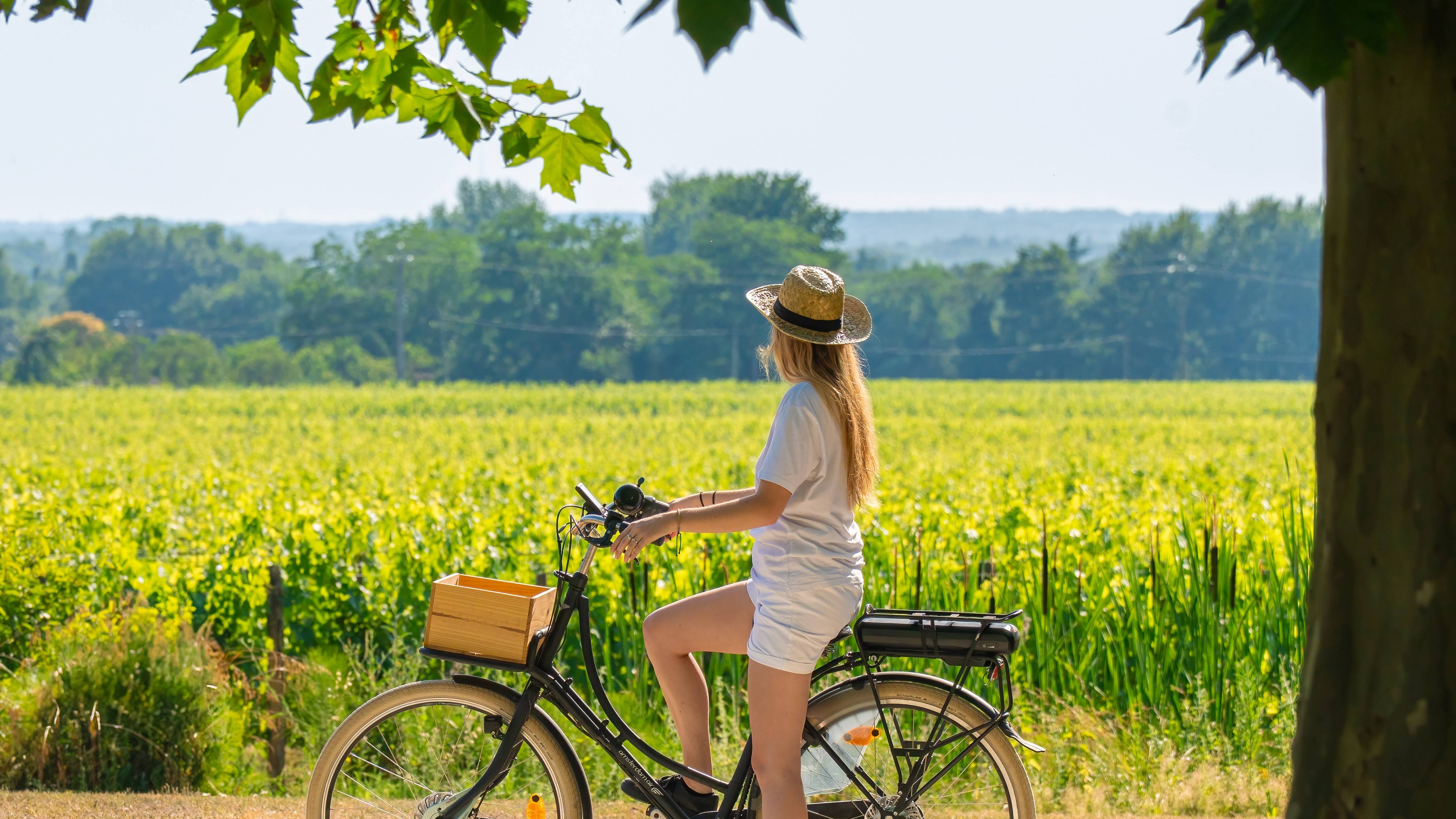 Immersion in Saint-Emilion