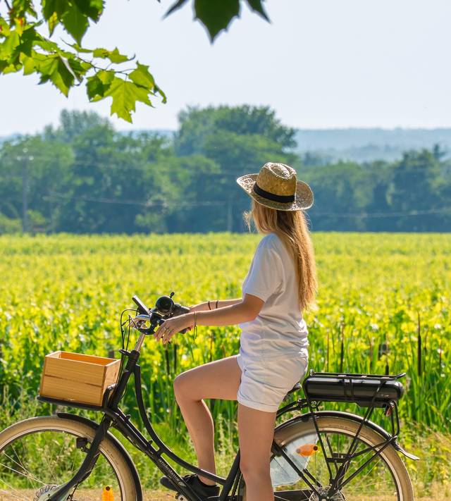 Immersion à Saint-Emilion