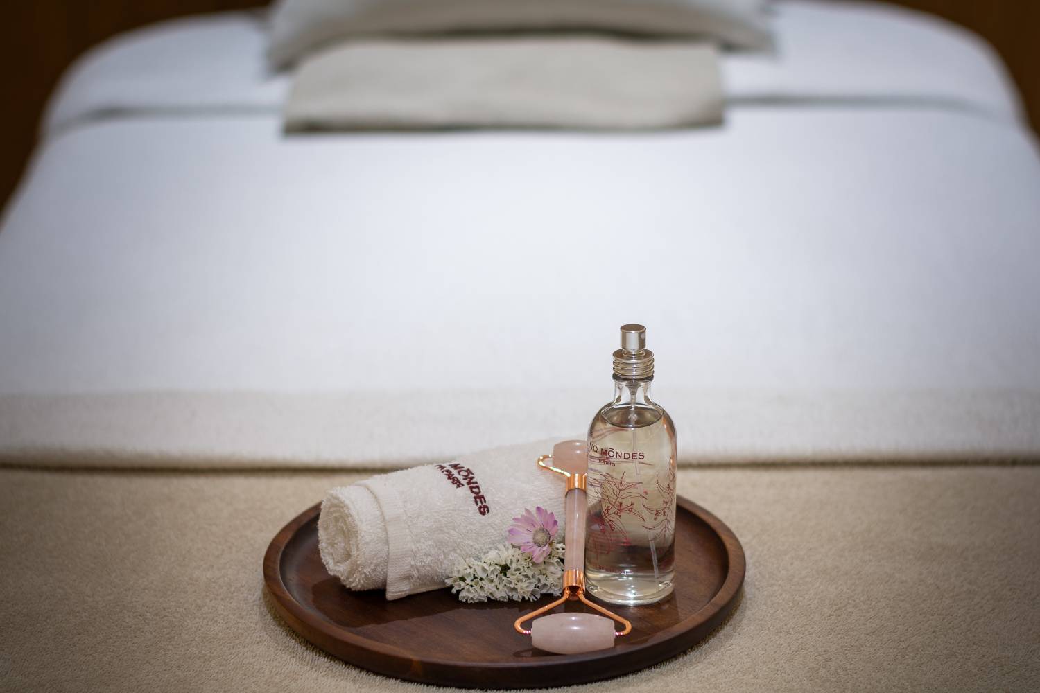 Détente à Fontainebleau : Spa & Massage