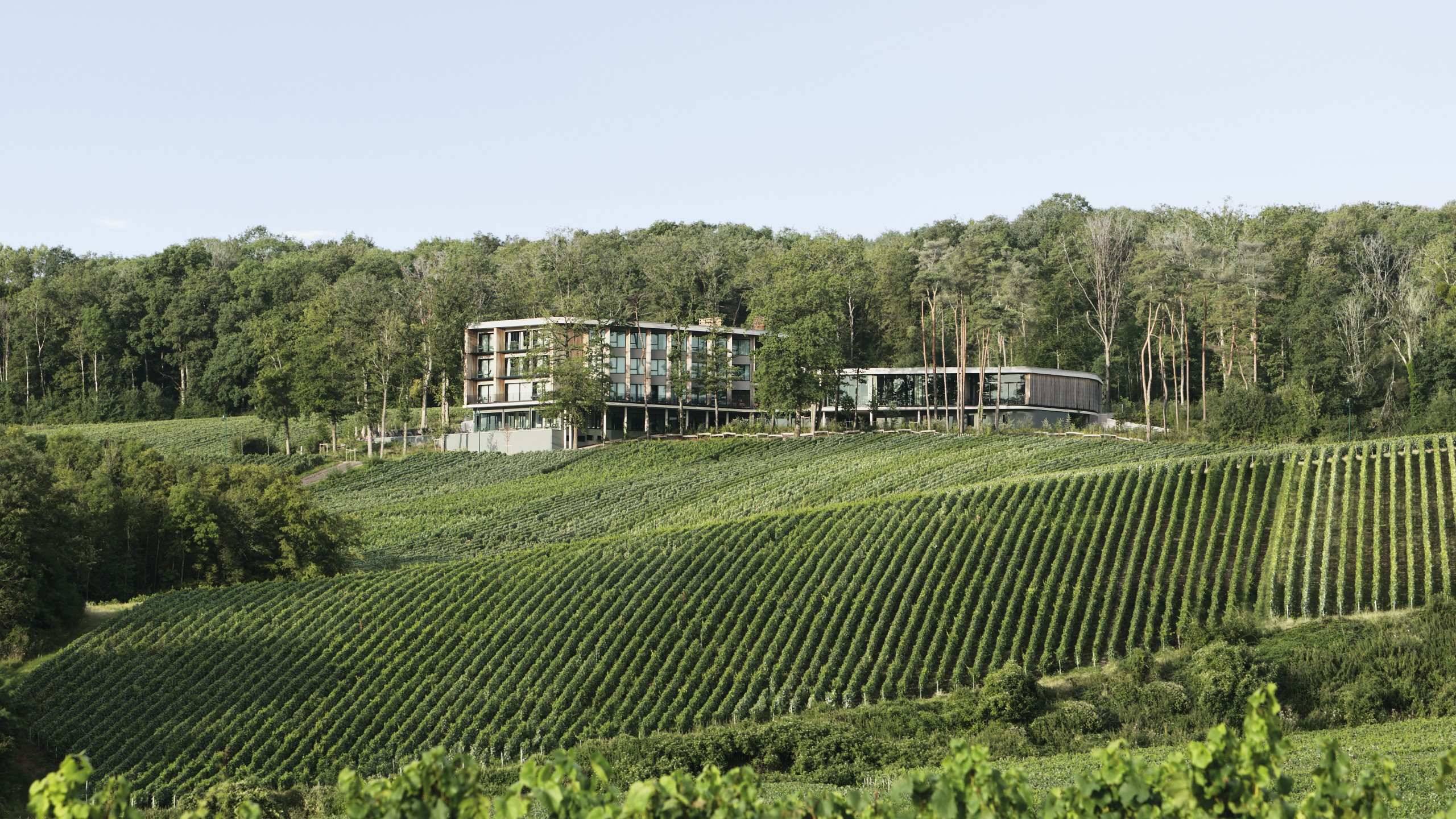 LOISIUM Wine & Spa Hôtel Champagne ****